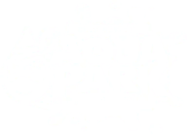 Charleston Aqua Park